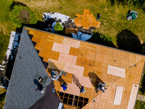 Quick and Trustworthy Emergency Roof Repair Services in Defiance, OH