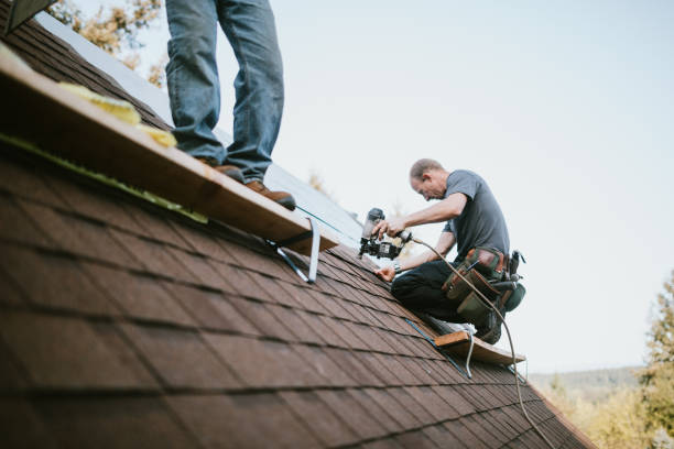 Roof Gutter Cleaning in Defiance, OH